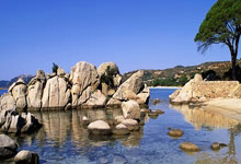 墨西哥队球员在比赛中迎来了出色表演